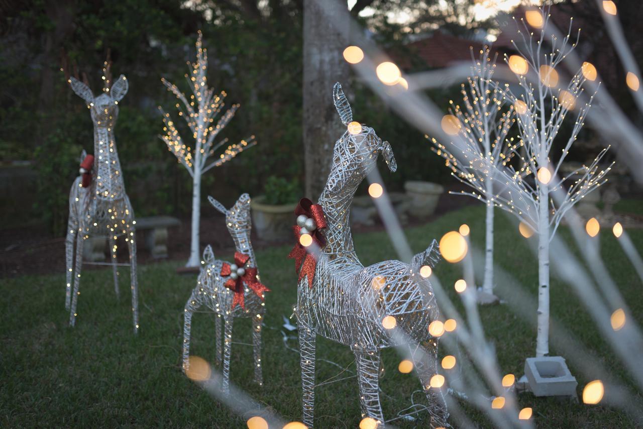 Bayfront Westcott House Bed & Breakfast St. Augustine Kültér fotó